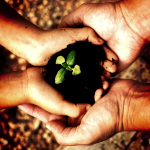 what are carbon credit?