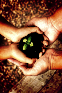 what are carbon credit?