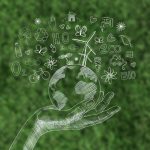 how to reduce your carbon footprint